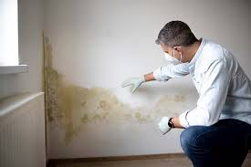 Why You Should Choose Our Mold Remediation Services in Alpine, CA